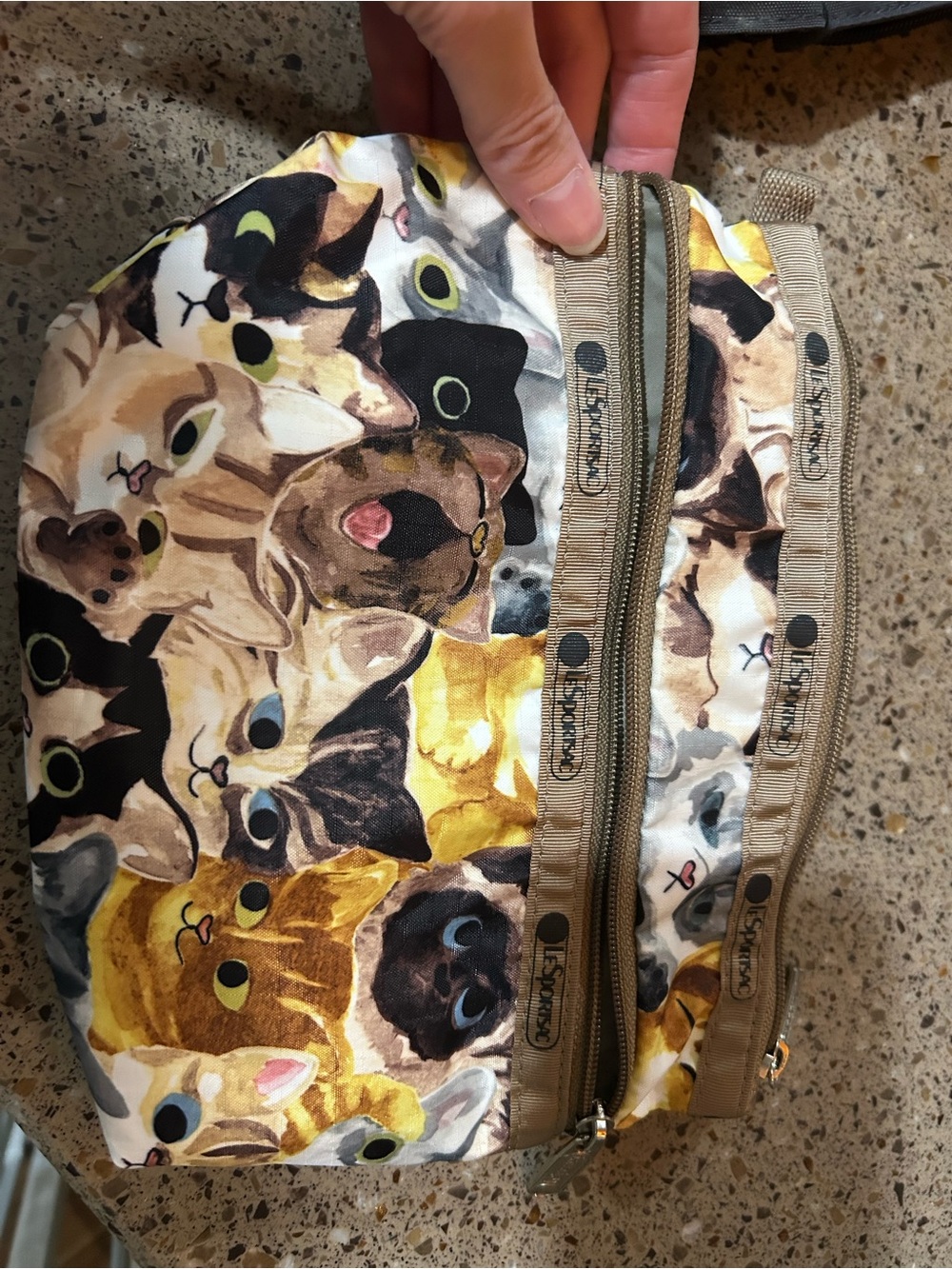 Lesportsac cat pouch